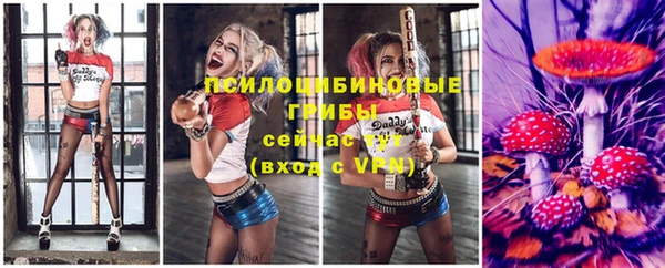 гидропоника Ладушкин