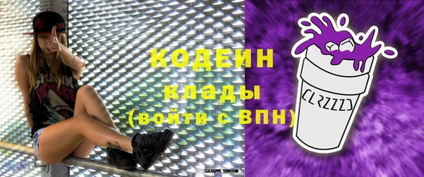 индика Кукмор