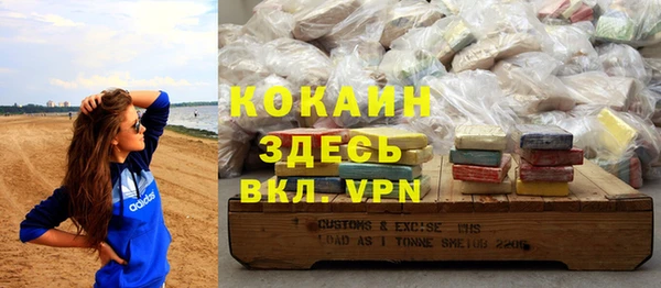 индика Кукмор