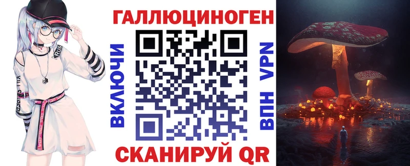 где можно купить Малая Вишера Псилоцибиновые грибы Magic Shrooms